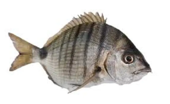 Ngaté
