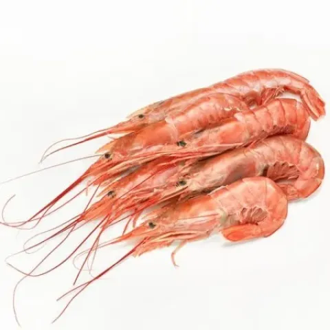 Gambas n3