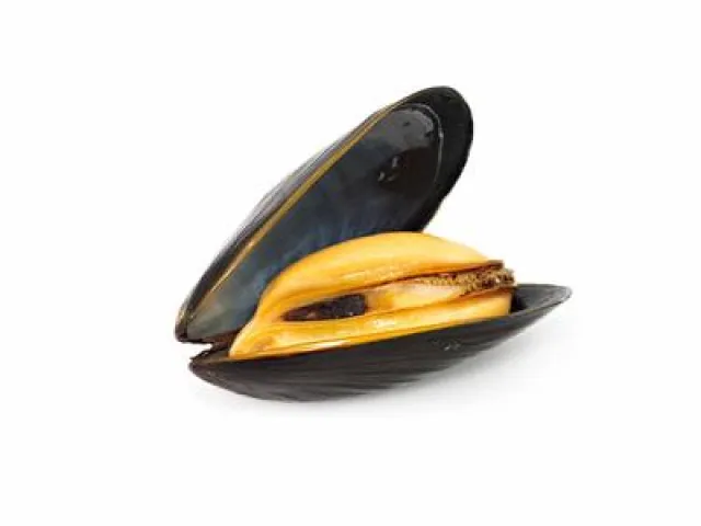 Moule