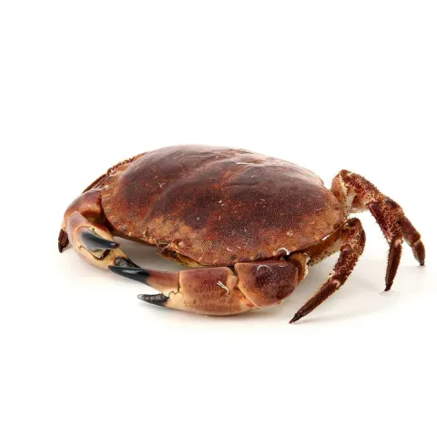 Crabe